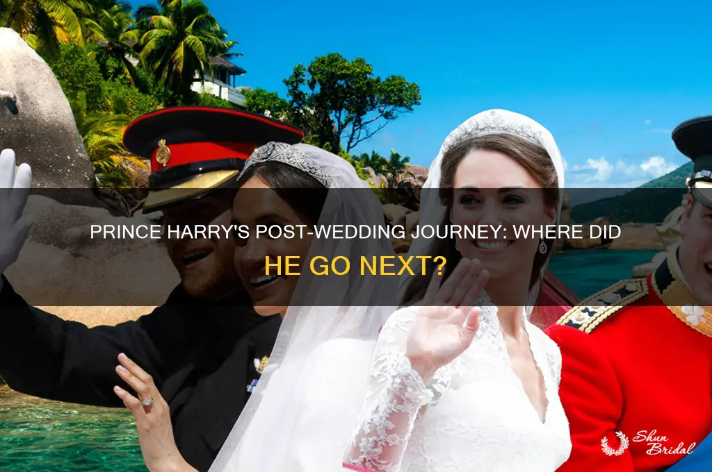 where did prince harry go after wedding