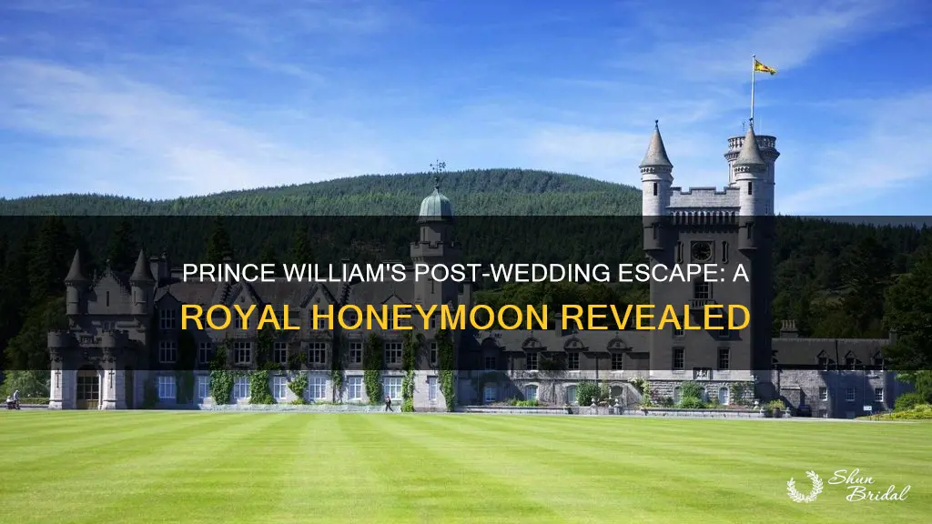 where did prince william honeymoon