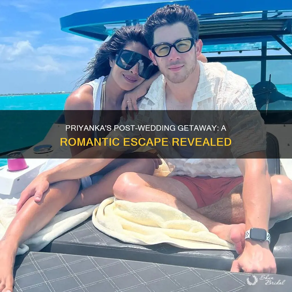 where did priyanka go for honeymoon