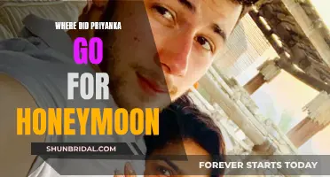 Priyanka's Honeymoon: A Romantic Escape to the Maldives