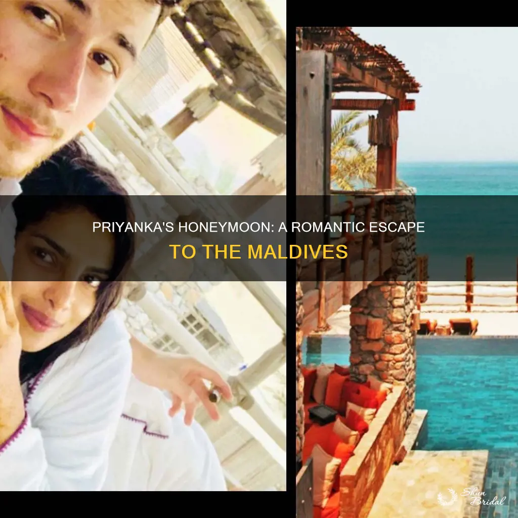 where did priyanka go for honeymoon