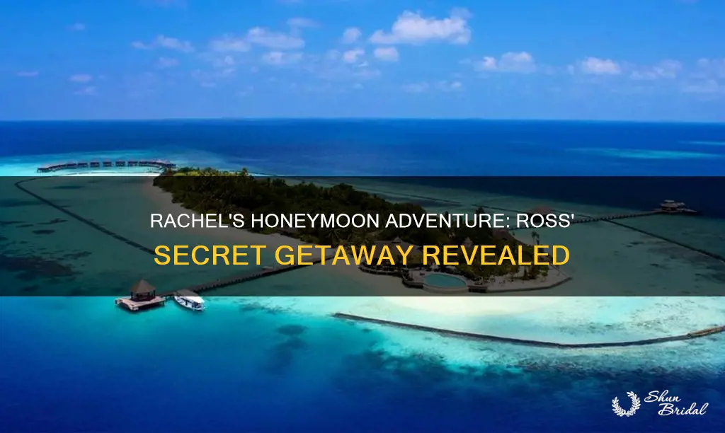 where did rachel go on ross honeymoon