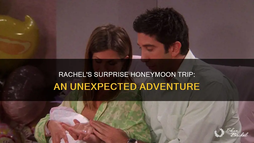 where did rachel go on ross honeymoon