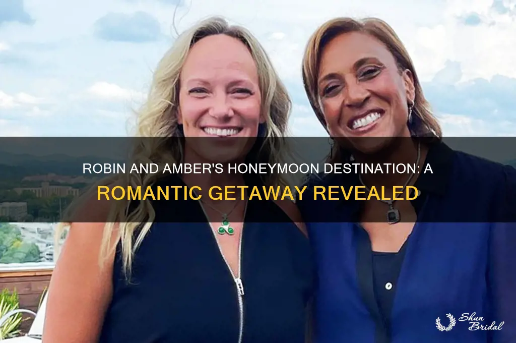 where did robin and amber go on their honeymoon