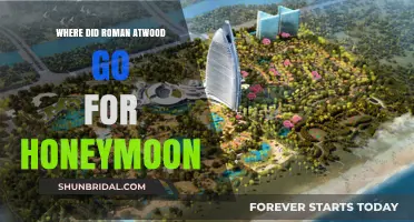 Roman Atwood's Honeymoon Destination: A Romantic Getaway Revealed