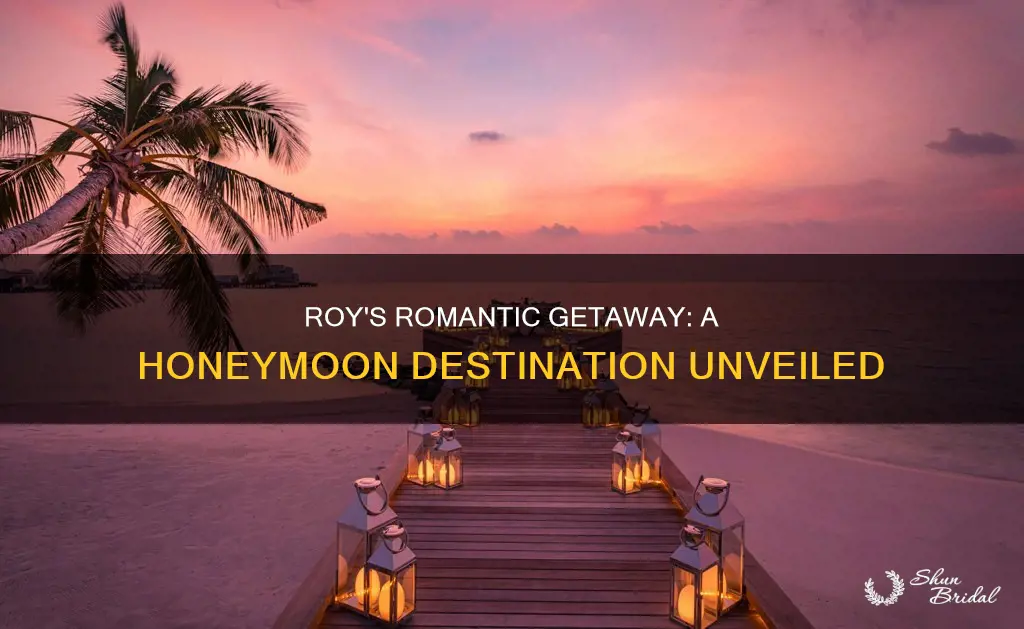 where did roy want to honeymoon