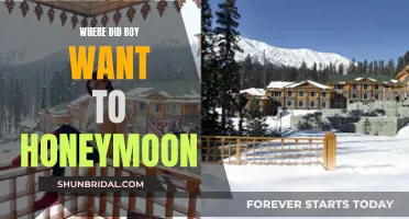 Roy's Honeymoon: A Tropical Paradise Dream