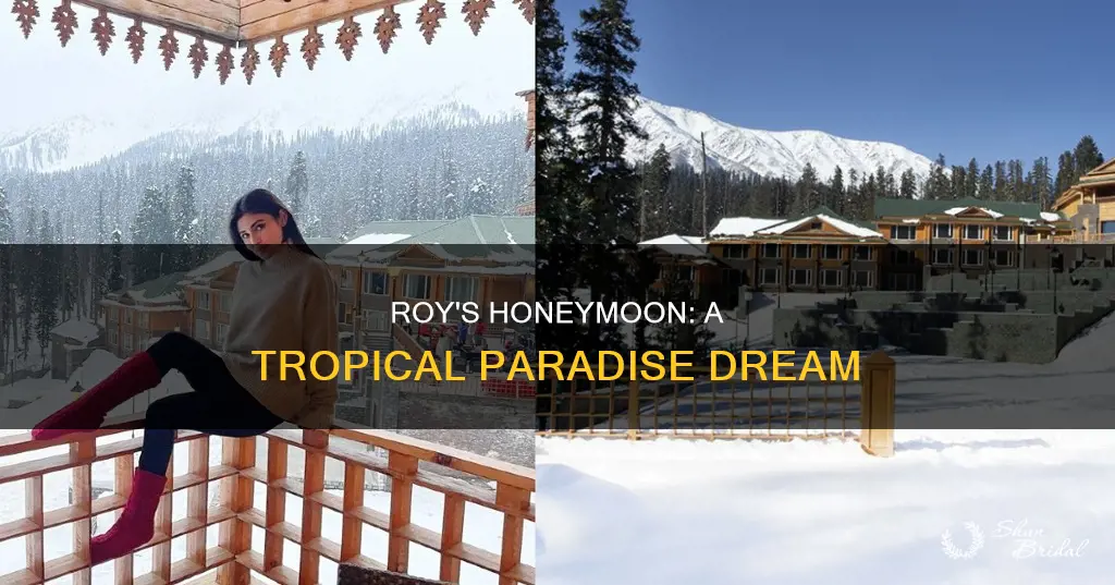 where did roy want to honeymoon