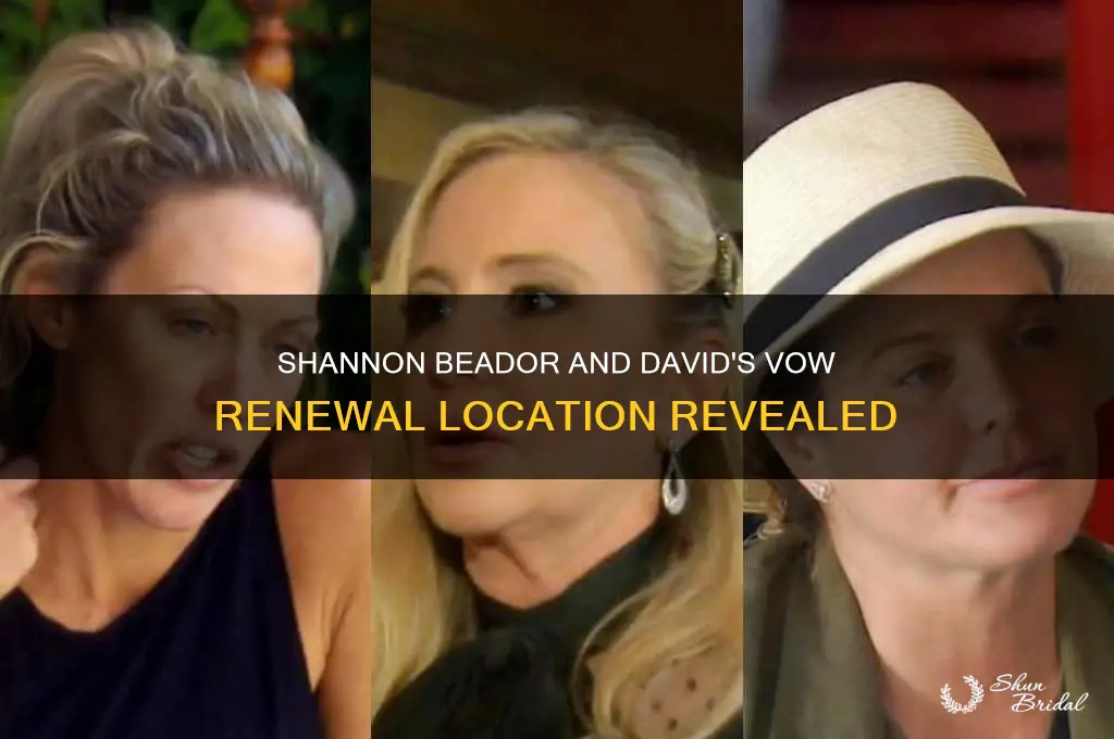 where did shannon beador redo her vows with david