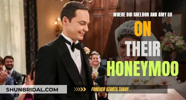 Sheldon and Amy's Honeymoon Destination: A Scientific Adventure
