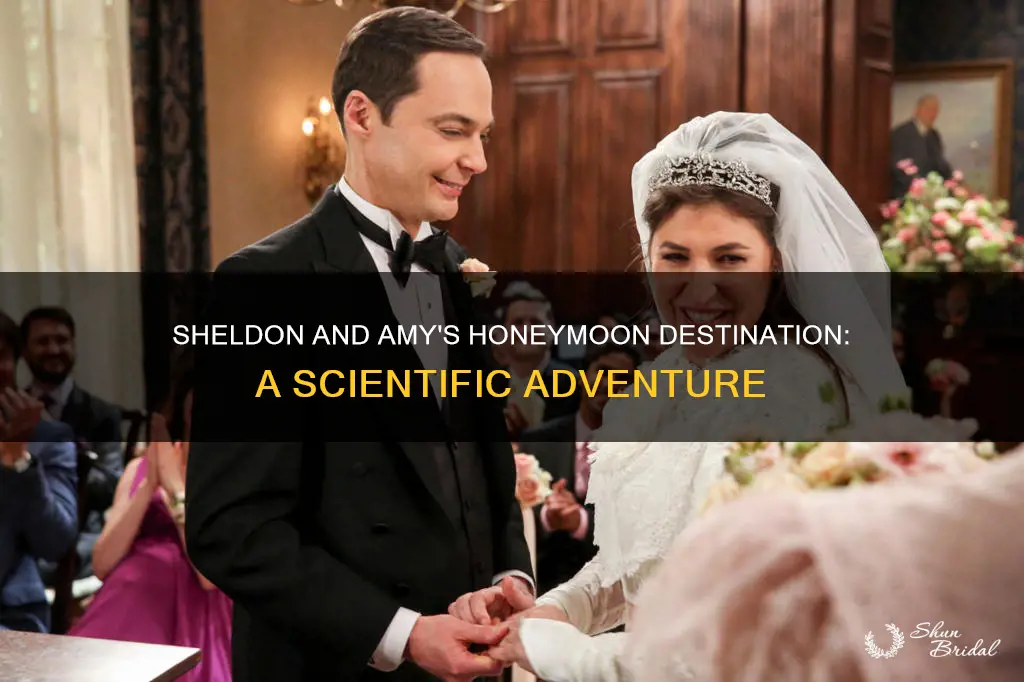 where did sheldon and amy go on their honeymoon