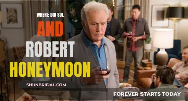 The Romantic Honeymoon of Sol and Robert