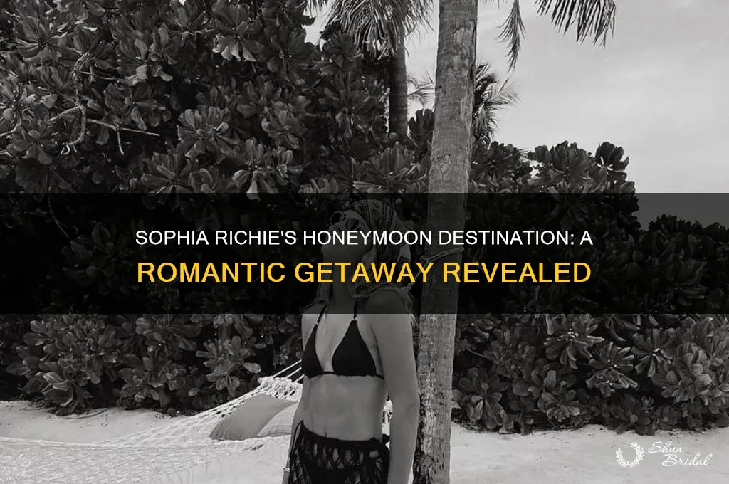 where did sophia richie go on her honeymoon