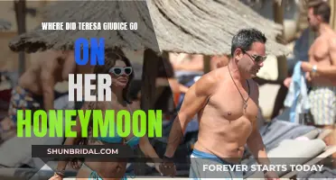 The Romantic Honeymoon of Teresa Giudice