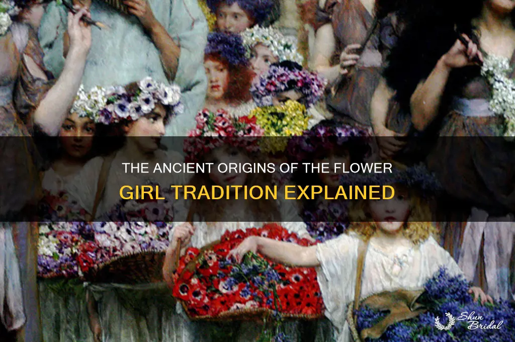 where did the flower girl tradition come from