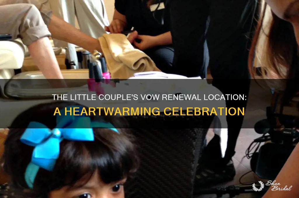 where did the little couple renew their vows