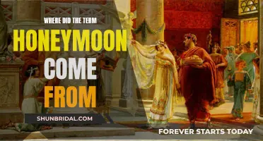 Honeymoon's Sweet Origin: A Journey Through Time