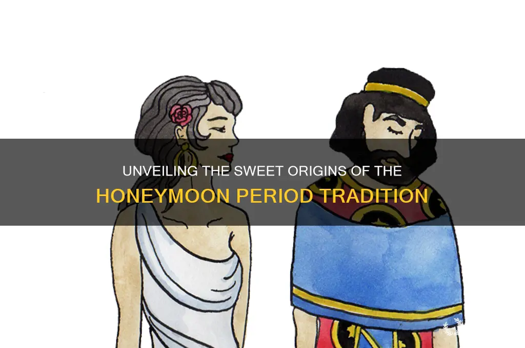where did the term honeymoon period come from
