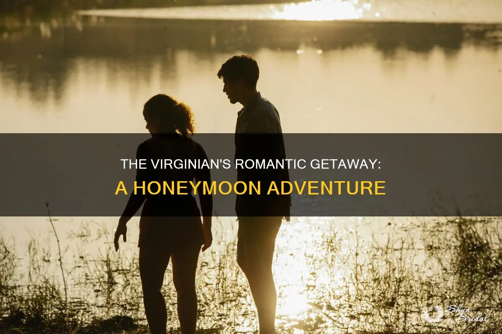 where did the virginian take molly wood for their honeymoon