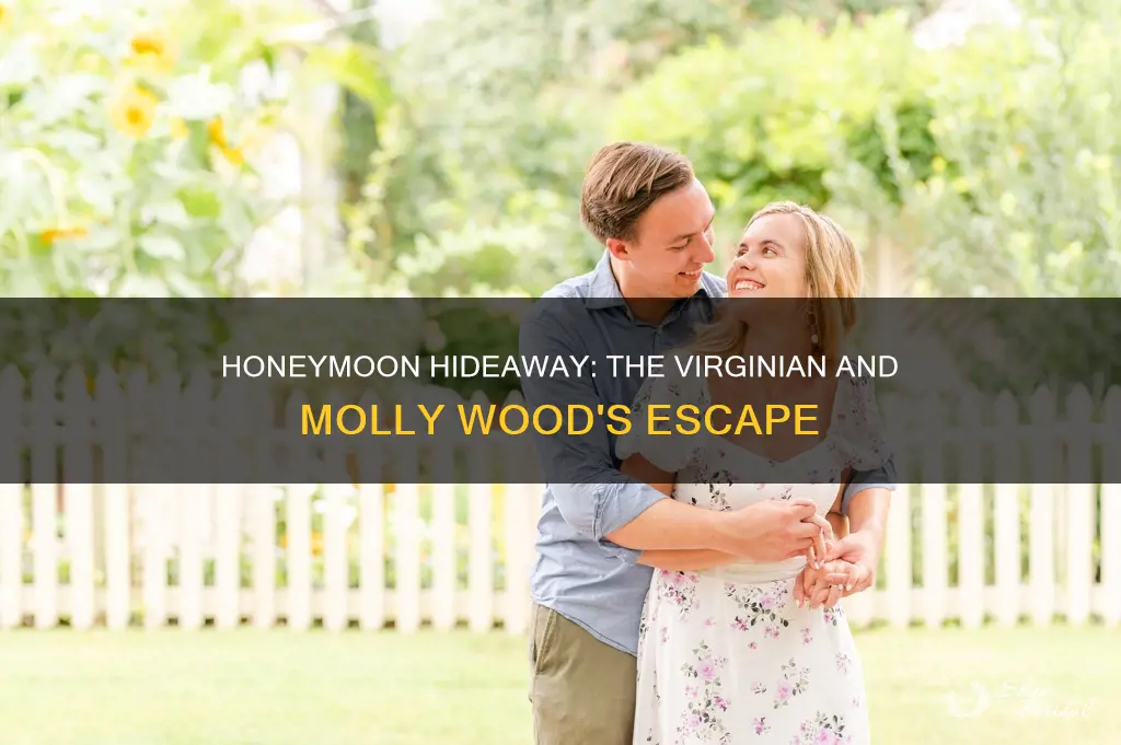 where did the virginian take molly wood for their honeymoon