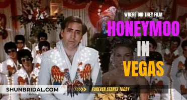 Honeymoon in Vegas: Filming Locations Unveiled