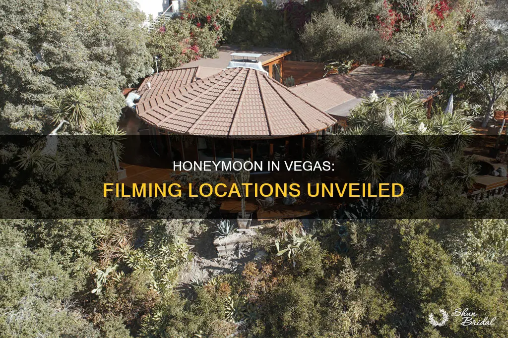 where did they film honeymoon in vegas