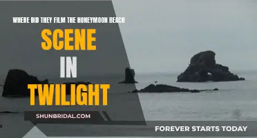 The Secret Location: Twilight's Romantic Beach Scene Revealed