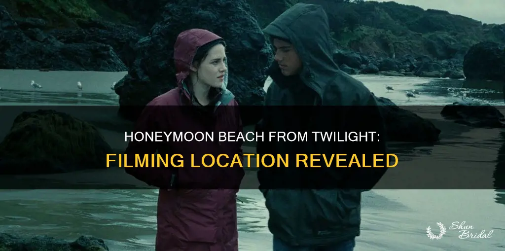 where did they film the honeymoon beach scene in twilight