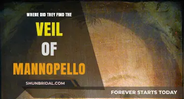 Veil of Manoppello: Unveiling the Mystery of Its Discovery