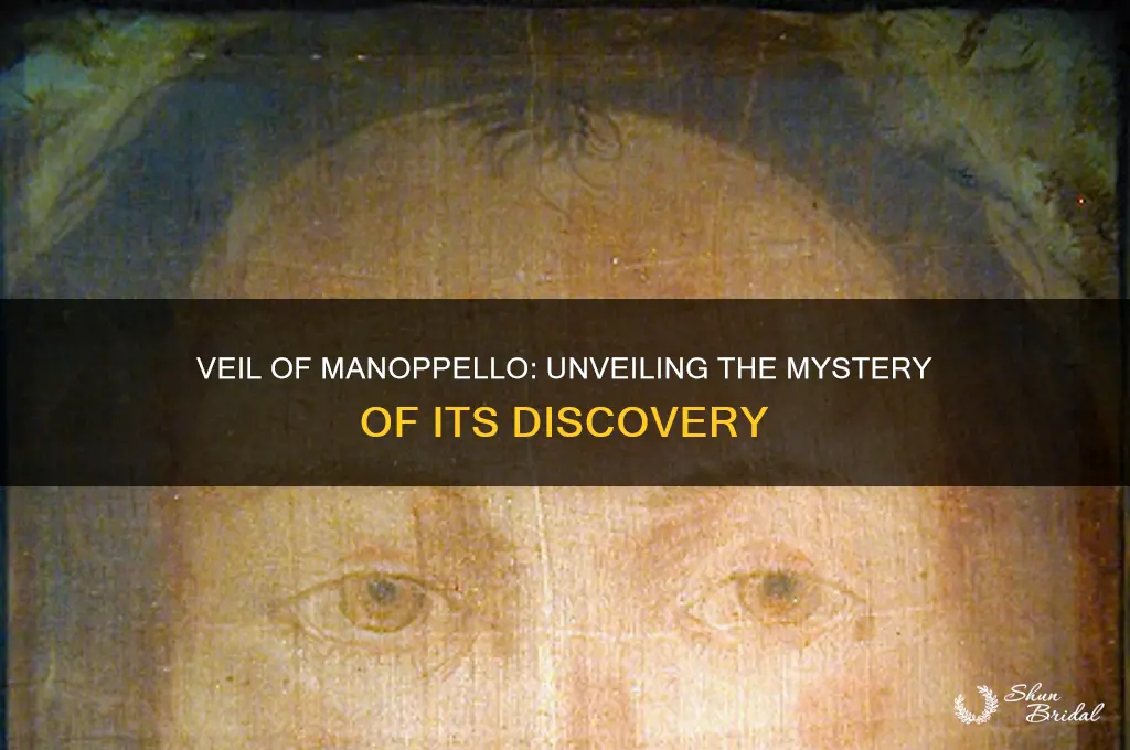 where did they find the veil of mannopello