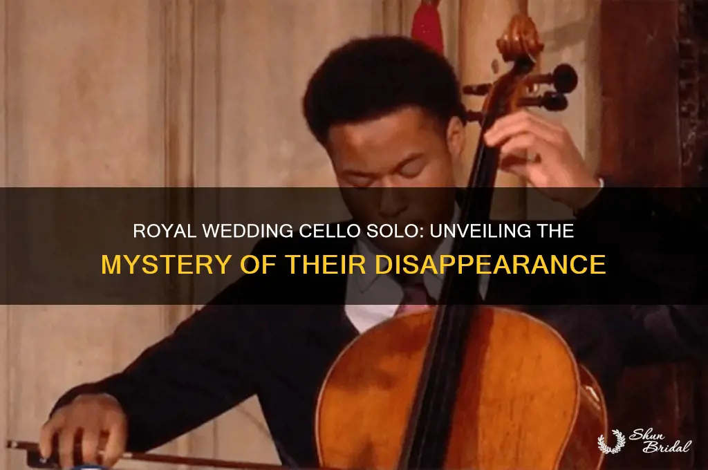 where did they go during cello solo royal wedding