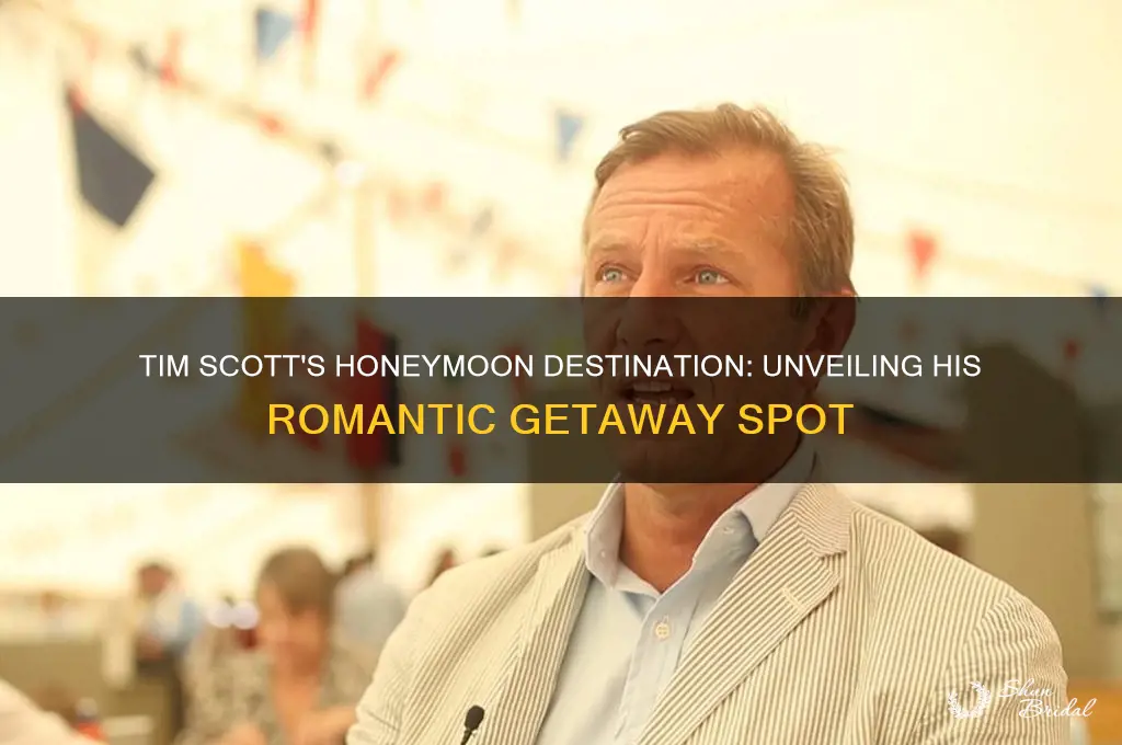 where did tim scott go on his honeymoon trip