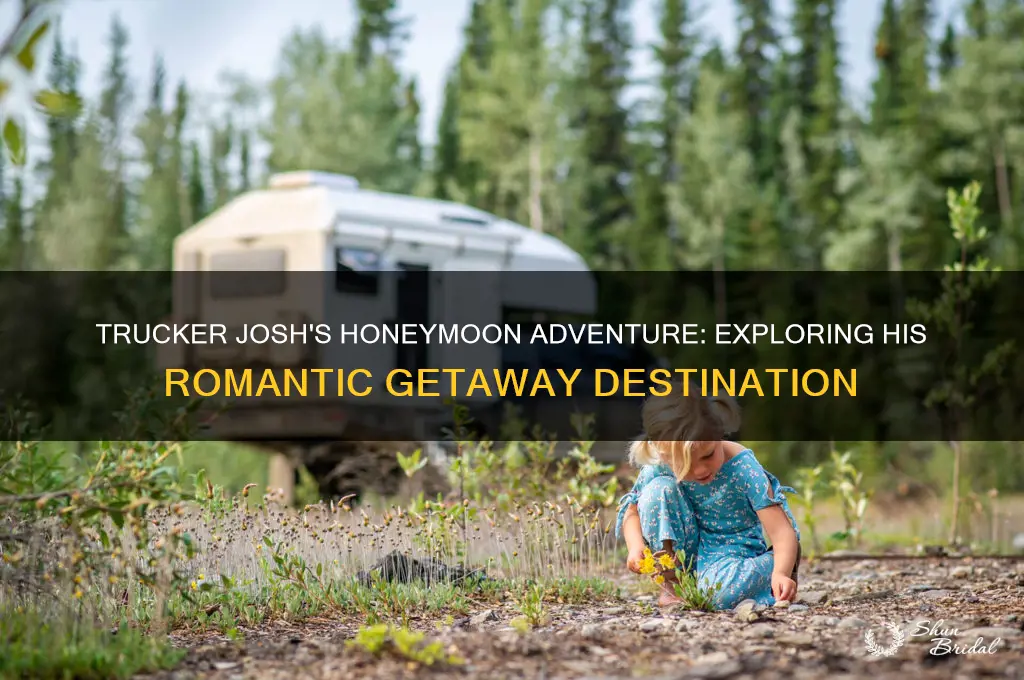 where did trucker josh go on his honeymoon