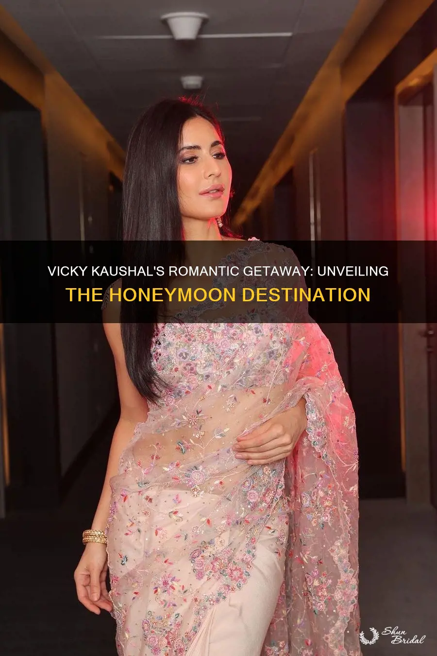 where did vicky kaushal go for honeymoon