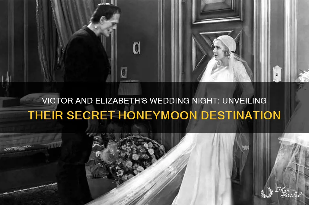 where did victor and elizabeth go for their wedding night