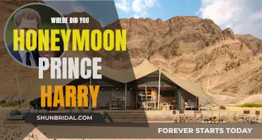 Prince Harry's Honeymoon: A Private Escape in Africa