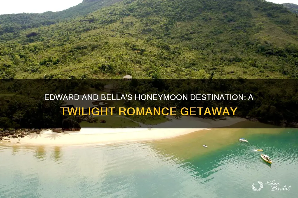 where do edward and bella go on their honeymoon