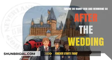 Post-Wedding Adventures: Harry, Ron, and Hermione's Journey Beyond the Celebration