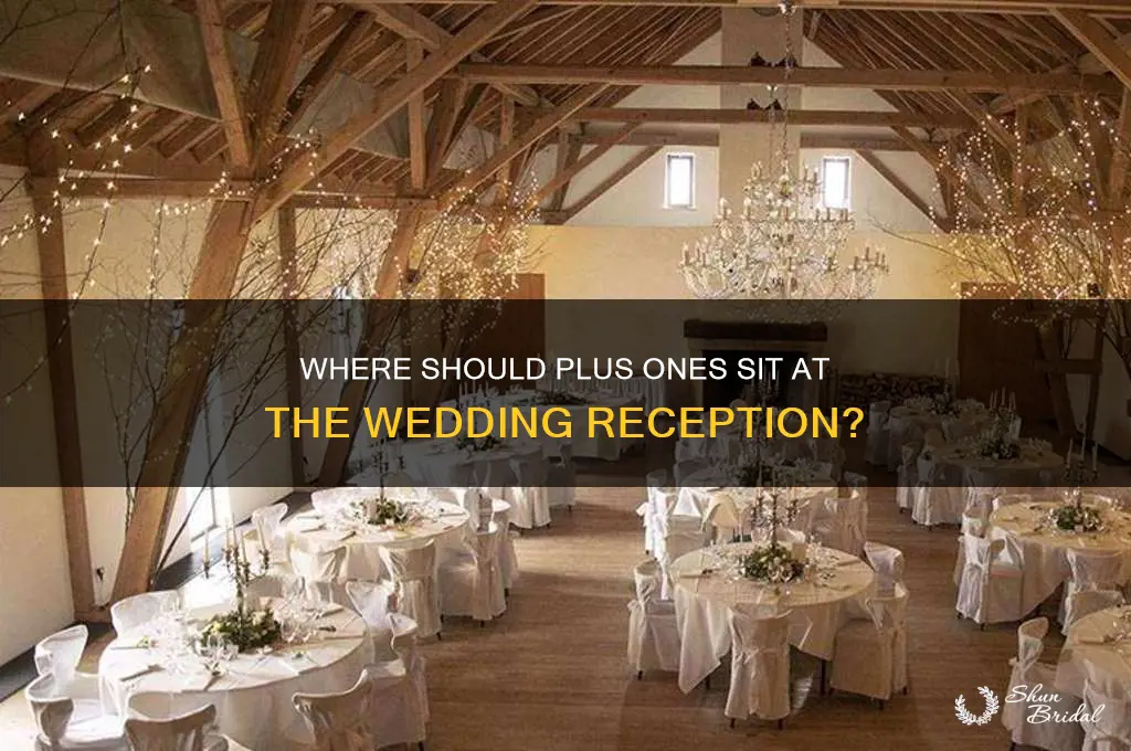 where do plus ones of the wedding party sit