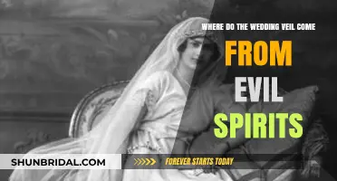 Unveiling the Ancient Veil: Protecting Brides from Evil Spirits