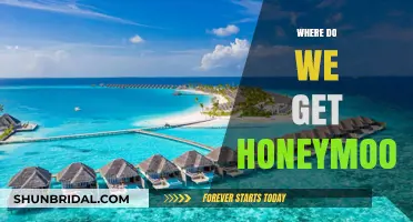 Dreamy Destinations: Where to Go for the Perfect Honeymoon Escape