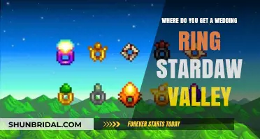 Stardew Valley: Wedding Ring Location Guide