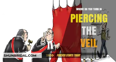 Piercing the Veil: Navigating Legal Boundaries and Corporate Accountability