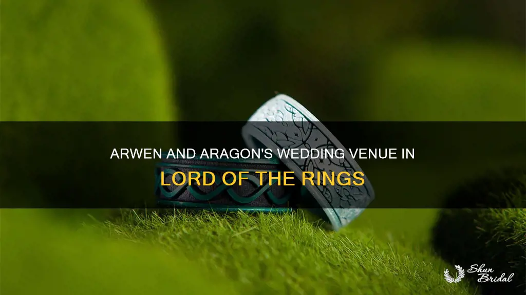 where does aragon wed arwen lord of the rings