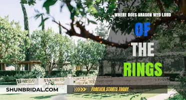 Aragon's Wedding Venue: A Lord of the Rings Mystery