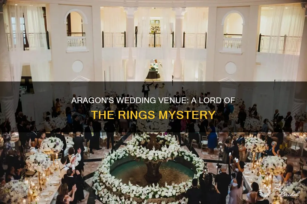 where does aragon wed lord of the rings