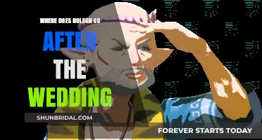 Bolson's Post-Wedding Journey: Unveiling His Next Chapter After the Vows