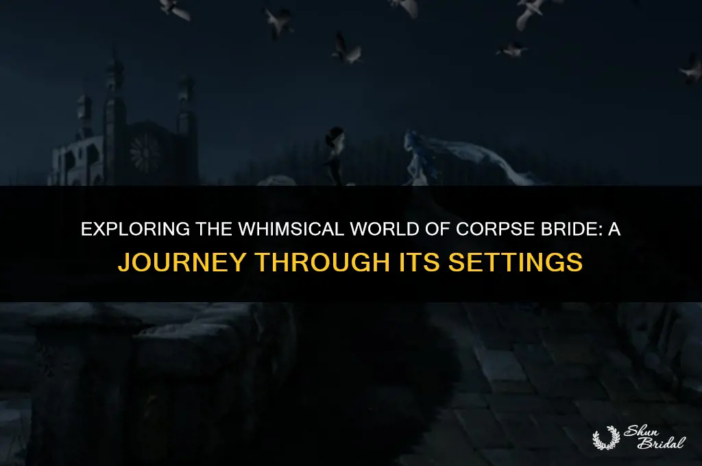 where does corpse bride take place