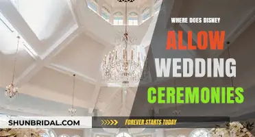 Disney Wedding Destinations: Where Fairy Tale Ceremonies Come to Life