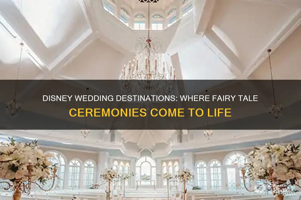 where does disney allow wedding ceremonies